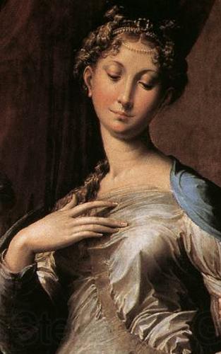 Girolamo Parmigianino Madonna with Long Neck Spain oil painting art